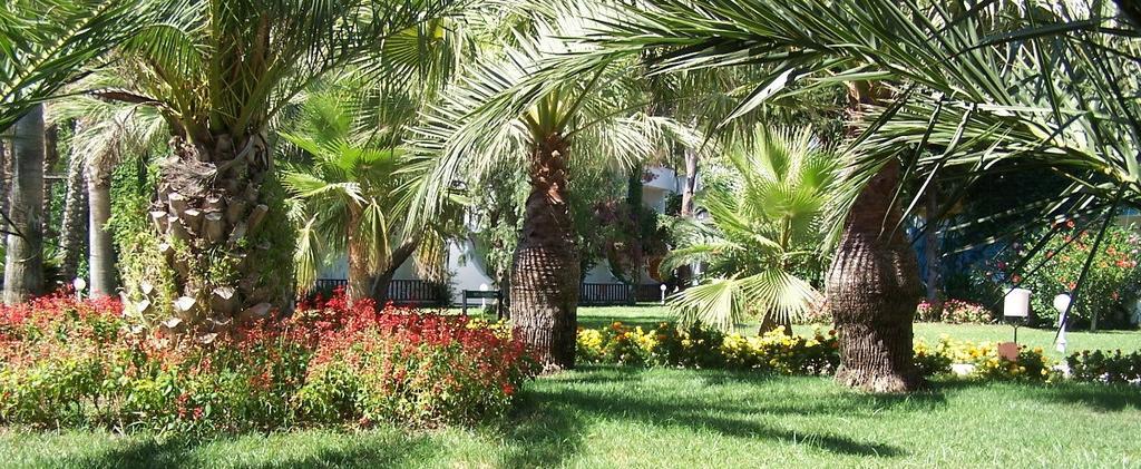 كلوب بوران ماري بيتش - شامل كليًا كمر المظهر الخارجي الصورة